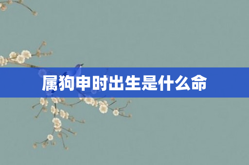 属狗申时出生是什么命