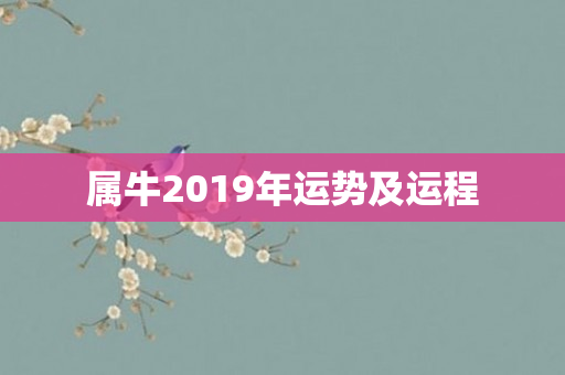 属牛2019年运势及运程