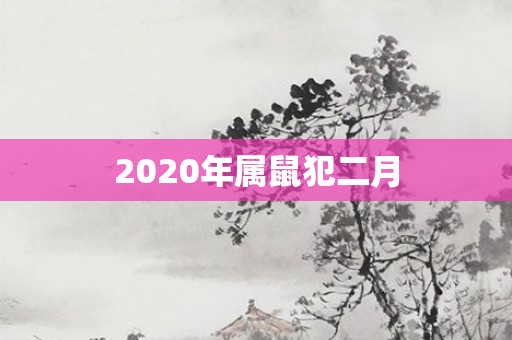 2020年属鼠犯二月