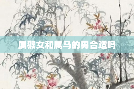 属猴女和属马的男合适吗