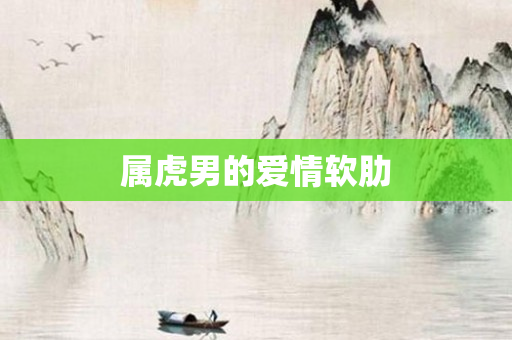 属虎男的爱情软肋
