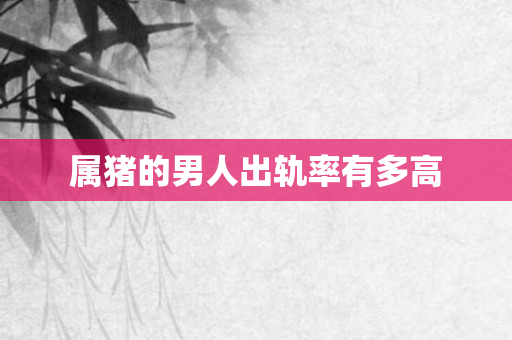 属猪的男人出轨率有多高