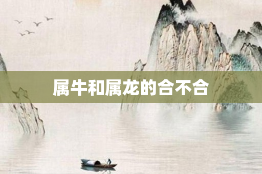 属牛和属龙的合不合