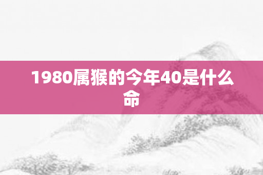 1980属猴的今年40是什么命