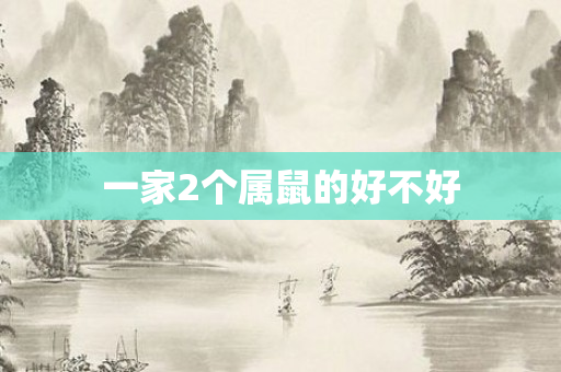 一家2个属鼠的好不好