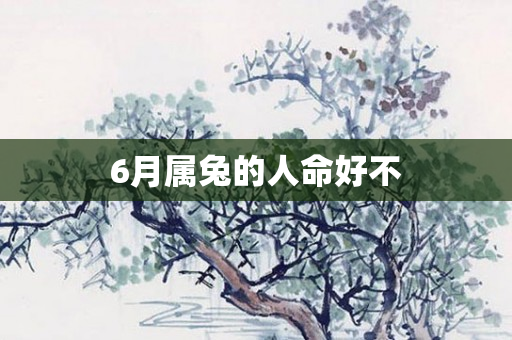 6月属兔的人命好不