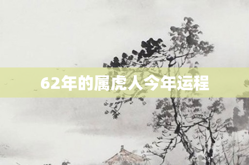 62年的属虎人今年运程