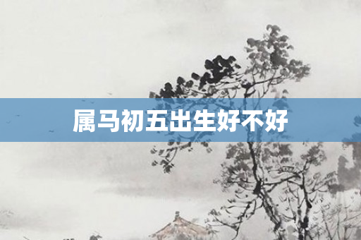 属马初五出生好不好