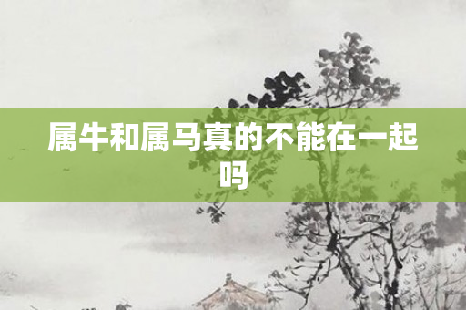 属牛和属马真的不能在一起吗