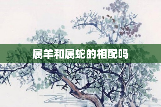属羊和属蛇的相配吗