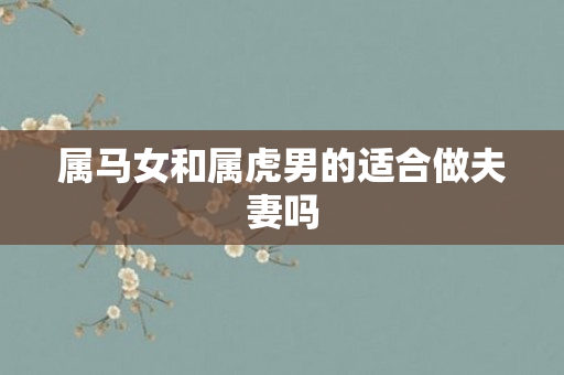 属马女和属虎男的适合做夫妻吗