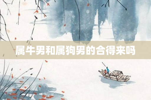 属牛男和属狗男的合得来吗