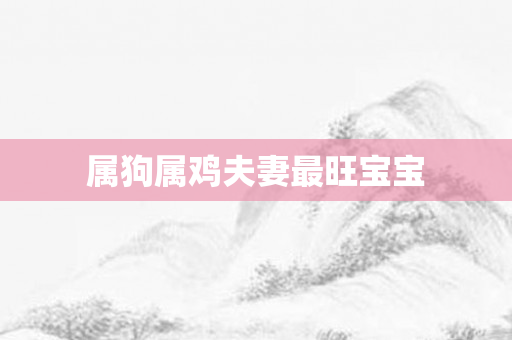 属狗属鸡夫妻最旺宝宝