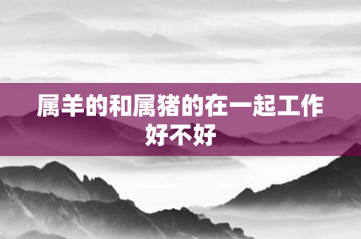 属羊的和属猪的在一起工作好不好