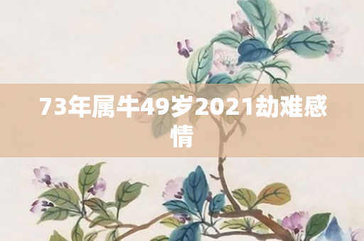 73年属牛49岁2021劫难感情