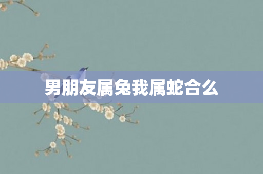 男朋友属兔我属蛇合么