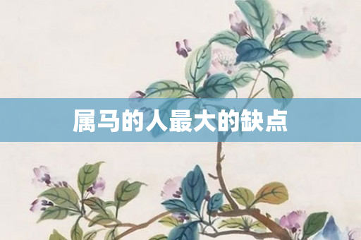 属马的人更大的缺点