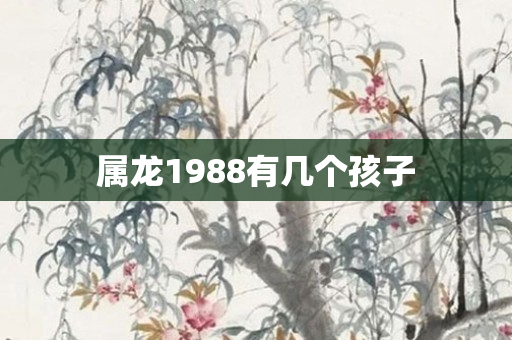 属龙1988有几个孩子