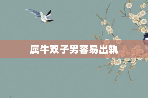 属牛双子男容易出轨