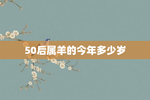 50后属羊的今年多少岁