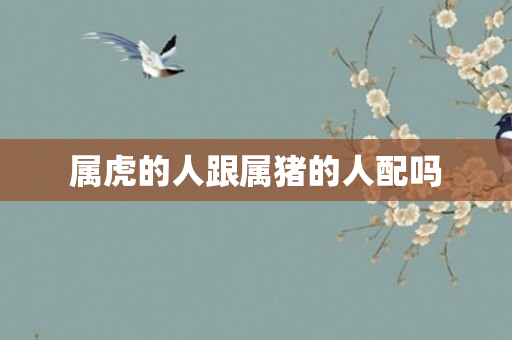 属虎的人跟属猪的人配吗