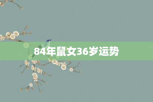 84年鼠女36岁运势