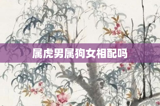 属虎男属狗女相配吗