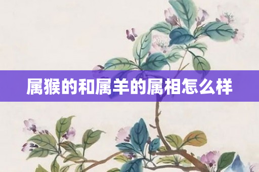 属猴的和属羊的属相怎么样