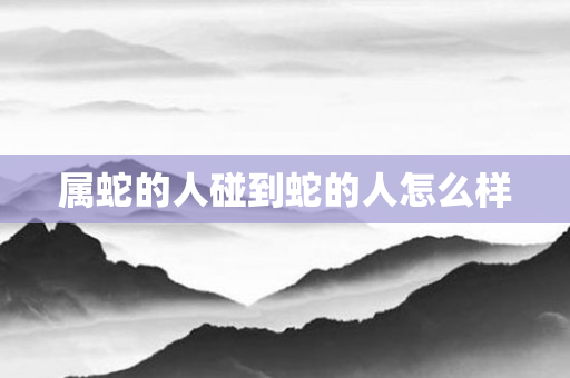属蛇的人碰到蛇的人怎么样