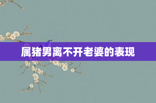 属猪男离不开老婆的表现