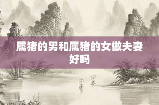 属猪的男和属猪的女做夫妻好吗