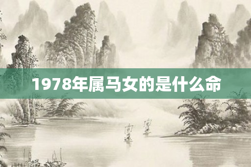 1978年属马女的是什么命