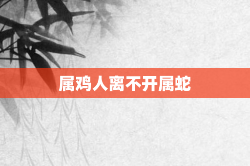 属鸡人离不开属蛇