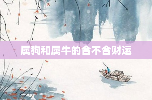 属狗和属牛的合不合财运