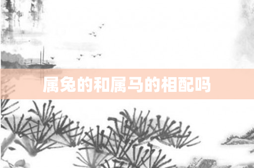 属兔的和属马的相配吗