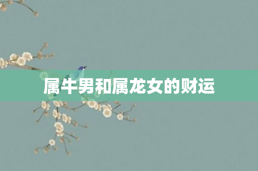 属牛男和属龙女的财运
