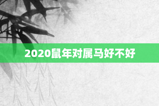 2020鼠年对属马好不好