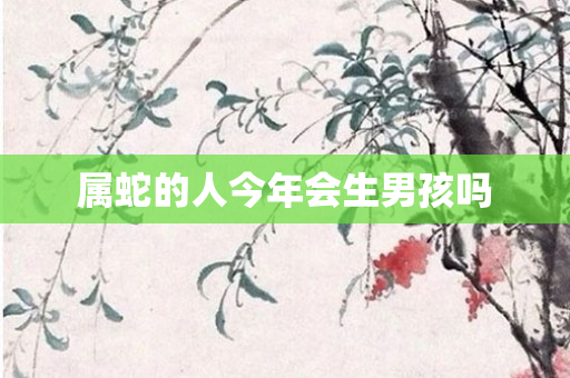 属蛇的人今年会生男孩吗