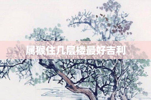 属猴住几层楼更好吉利