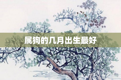 属狗的几月出生更好