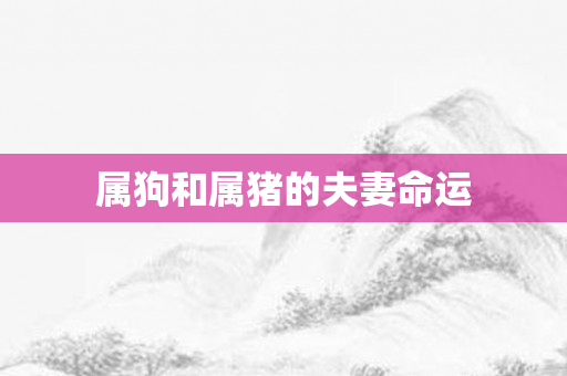 属狗和属猪的夫妻命运