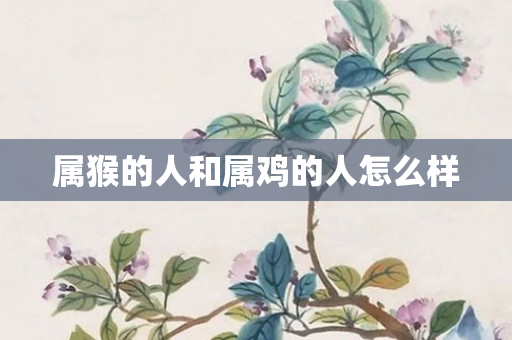 属猴的人和属鸡的人怎么样