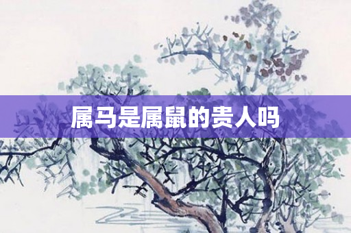 属马是属鼠的贵人吗