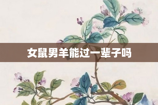 女鼠男羊能过一辈子吗