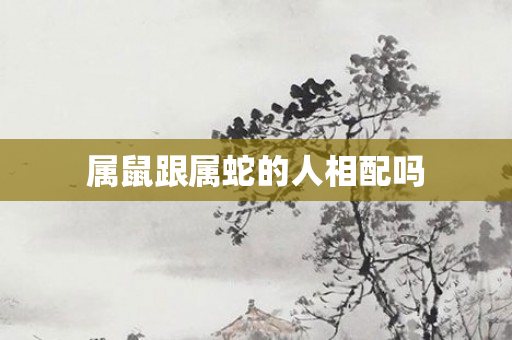属鼠跟属蛇的人相配吗