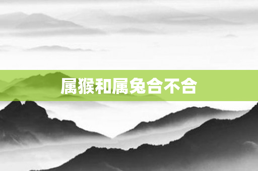 属猴和属兔合不合
