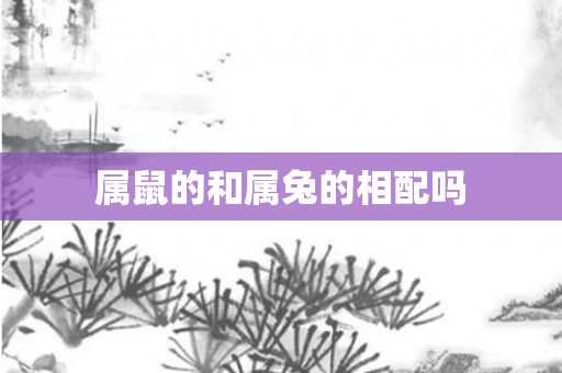 属鼠的和属兔的相配吗