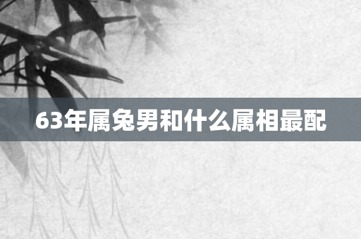 63年属兔男和什么属相最配