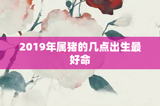 2019年属猪的几点出生更好命