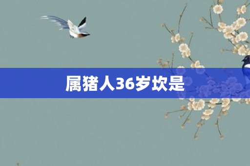 属猪人36岁坎是